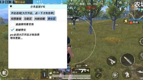 和平精英辅助【飞鸟】